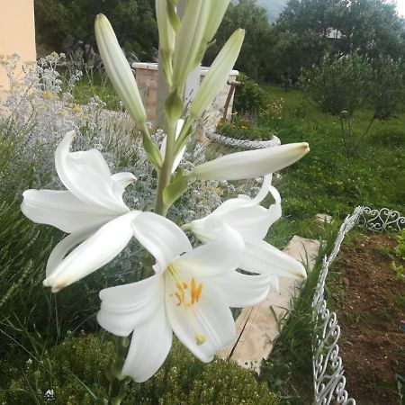 Castello Flower Apartment Каштела Екстер'єр фото